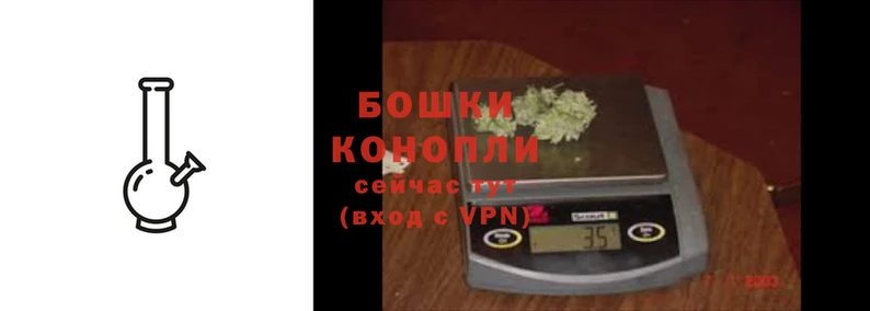 PSILOCYBIN Арсеньев