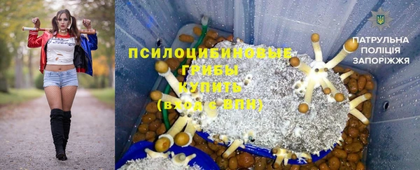 стаф Алексеевка